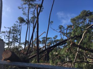 La tronade du 11 novembre à Saint-Brevin