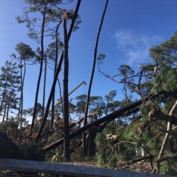 La tronade du 11 novembre à Saint-Brevin