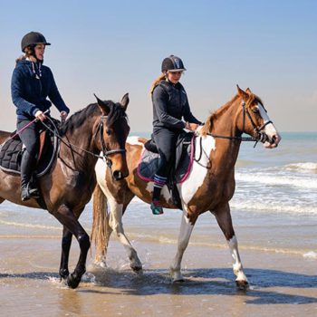 Assurance cheval st nazaire assurance mma balzane