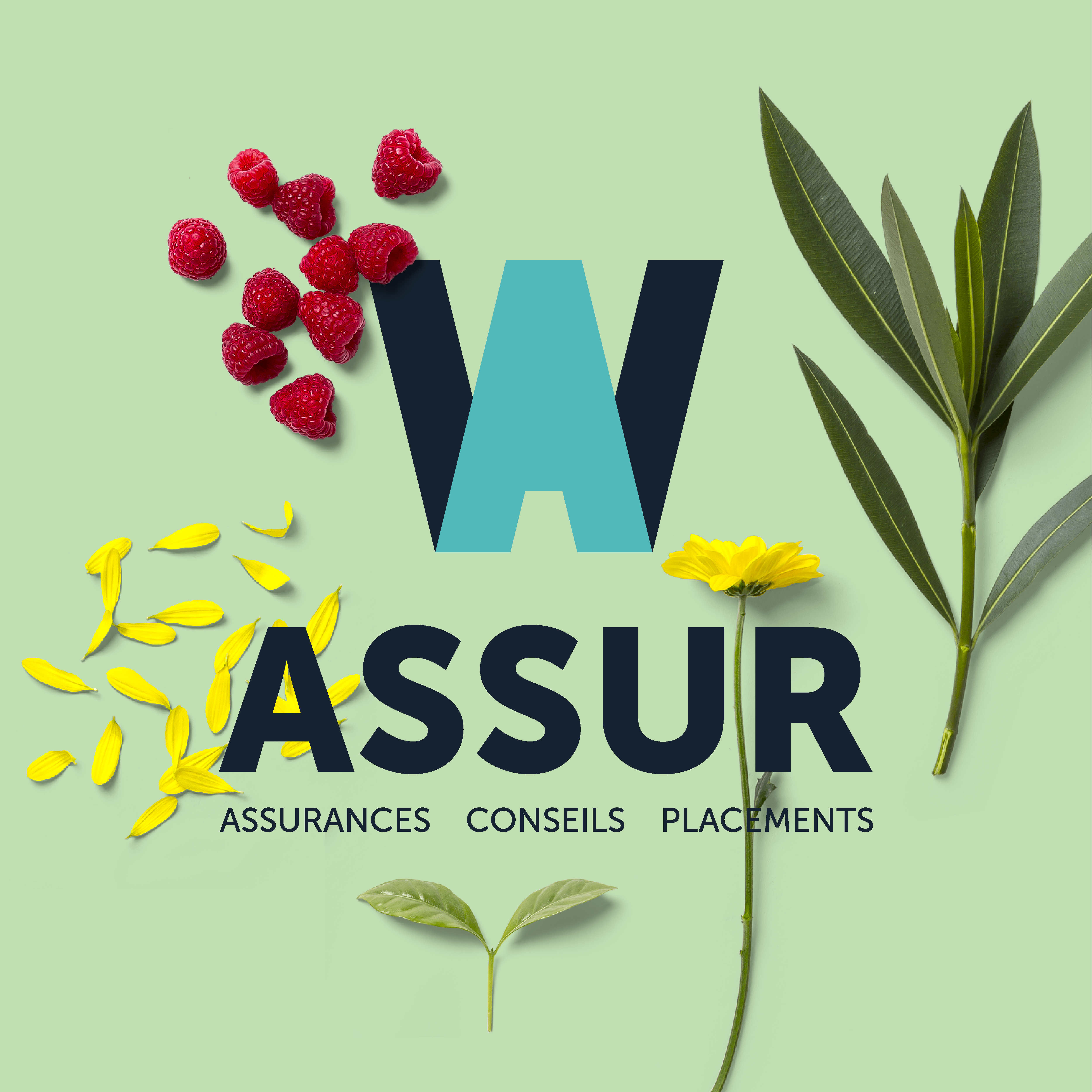 Deux nouvelles agences W-Assur en 2023