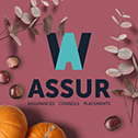 W ASSUR cabinet assurance Brouillon Bonnet - Automne 2023